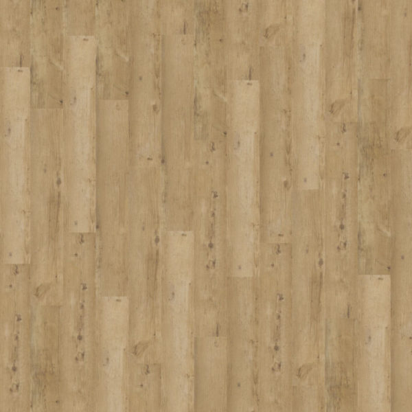 Sol vinyle à coller - Objectflor Expona Design Blound country plank 6151 - Aspect chêne clair