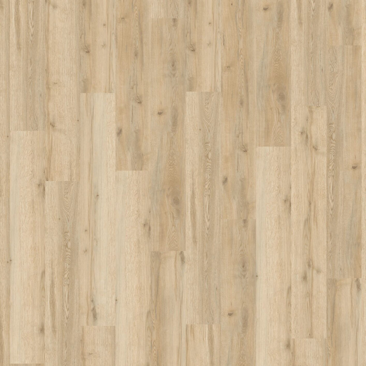 Sol PVC à coller aspect chêne naturel, Objectflor