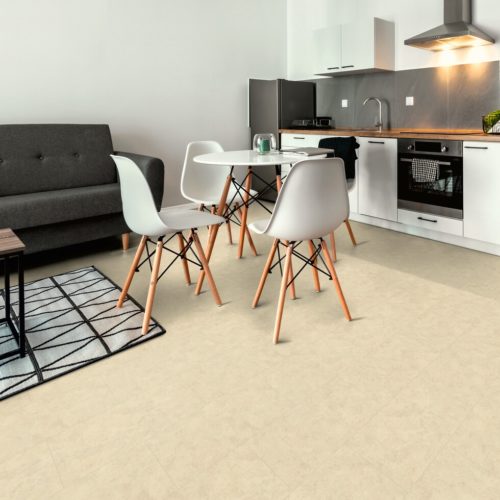 Afterhall revendeur sol Expona living 8045 light loft chene photo ambiance
