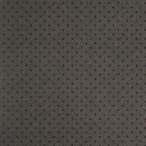 Moquette grise à points noirs balsan.