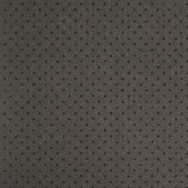 Moquette grise à points noirs balsan.