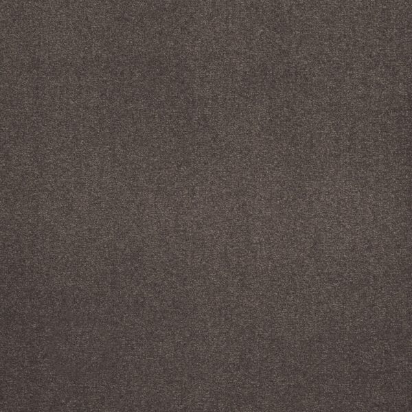 Sol en velours marron, Balsan, moquette à coller