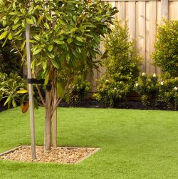 jardin avec arbre, haie d'arbustes et carré de gazon synthétique réaliste