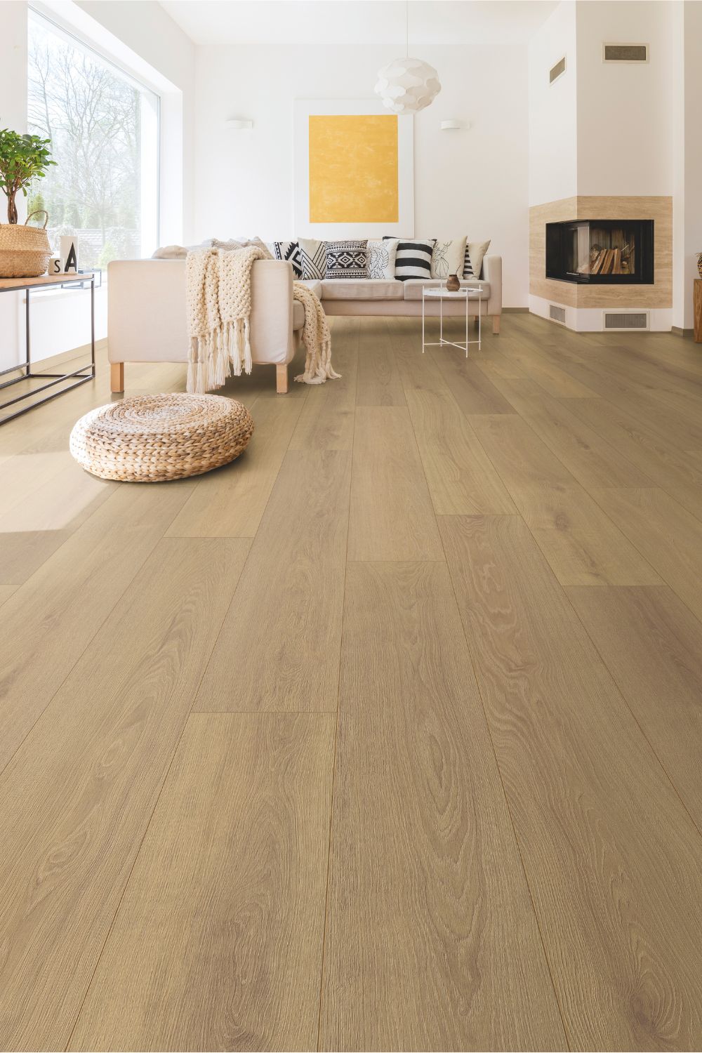 Salon moderne avec parquet stratifié