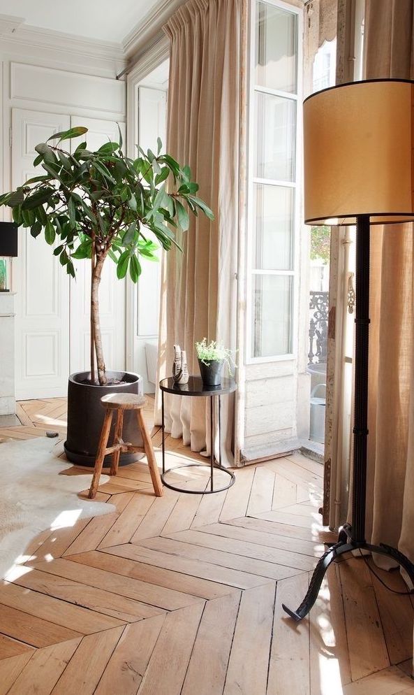 tendances 2025 point de hongrie dans une pièce lumineuse