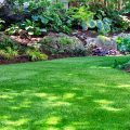 jardin arboré avec arbres et arbustes fleuris. Gazon synthetique réaliste au sol