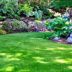 jardin arboré avec arbres et arbustes fleuris. Gazon synthetique réaliste au sol